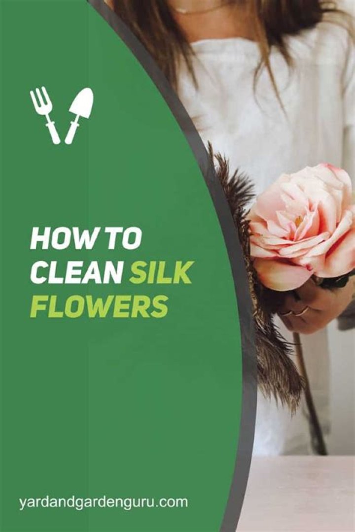 4 Steps to Follow While Cleaning Silk Plants