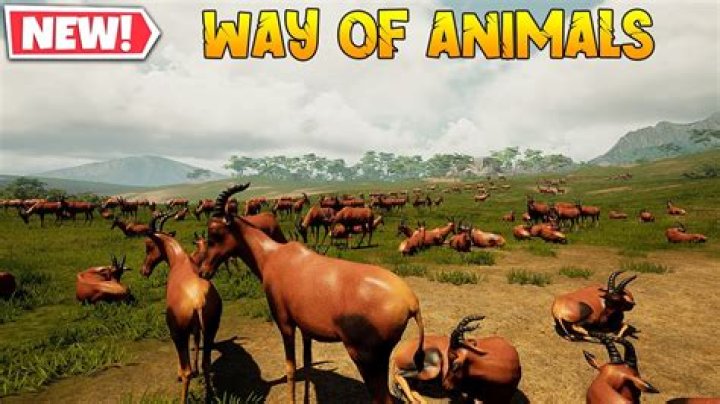 Are there any games that you can play as an animal?