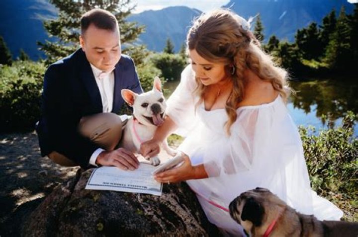 Can a pet be included in a wedding?