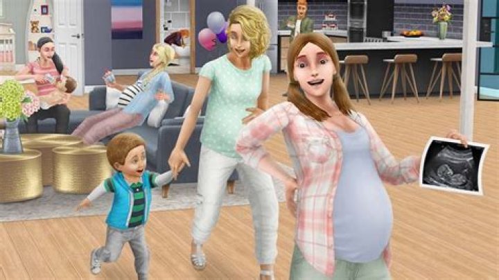 Can a pregnant Sim Die Sims 3?