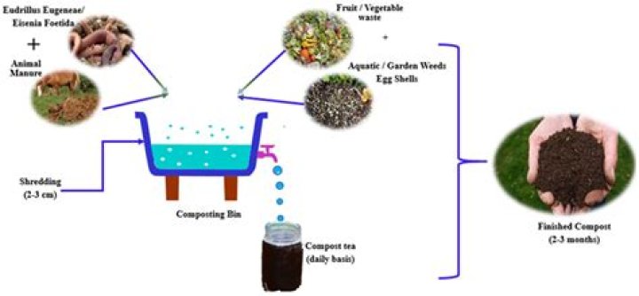 Can I put old flour in compost?