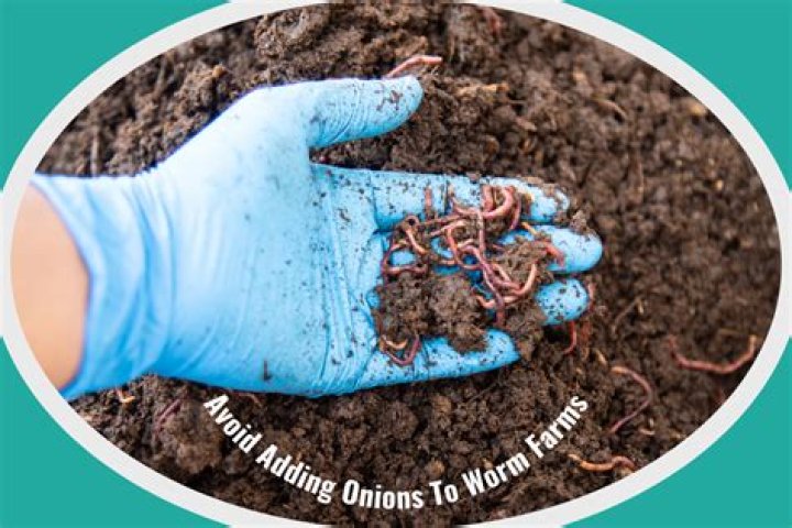 Can onions go in compost?