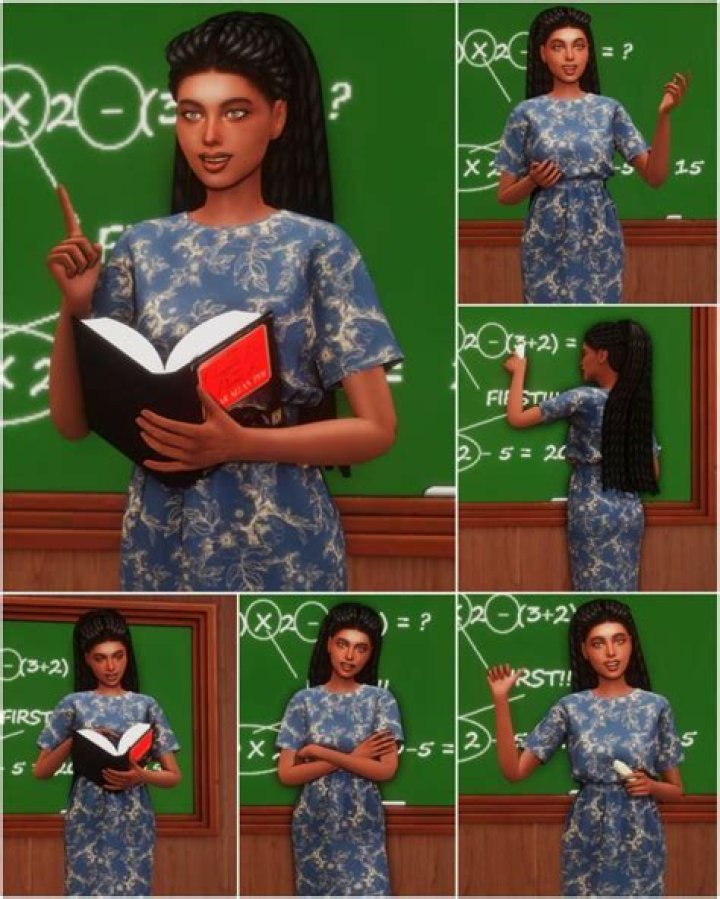 Can Sims become teachers?