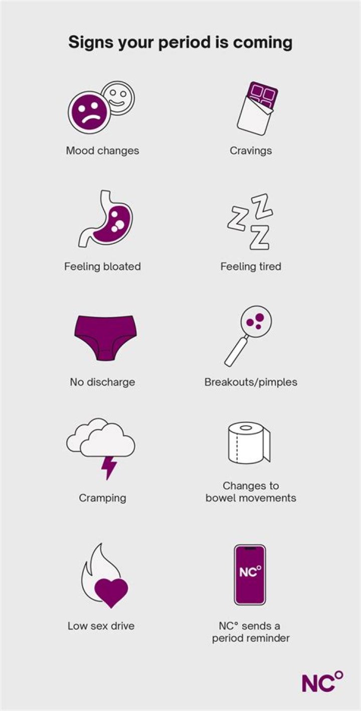 Can Sims have periods?