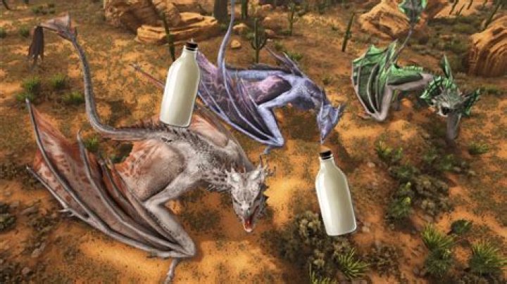 Can tamed Wyverns produce milk?