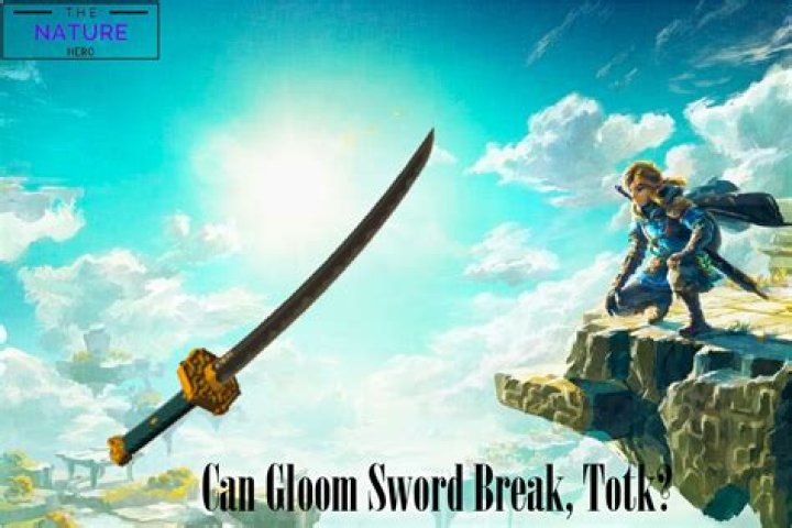 Can the Goron sword break?