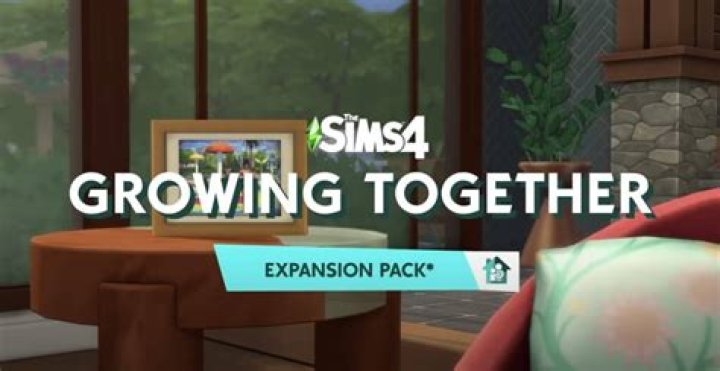 Can you cheat expansion packs Sims 4?