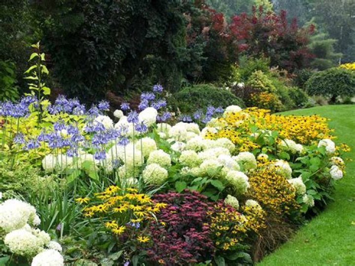 Can you dig up and replant?