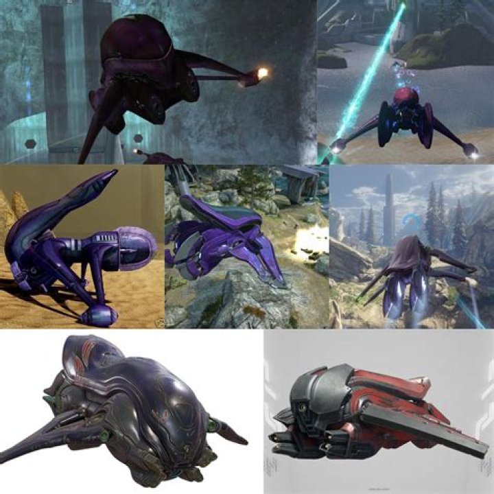 Can you fly banshees in Halo CE?