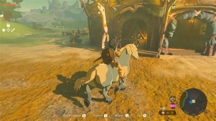 Can you get an ocarina in Breath of the Wild?