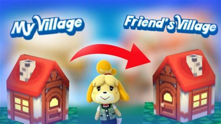 Can you have multiple towns in Animal Crossing GameCube?