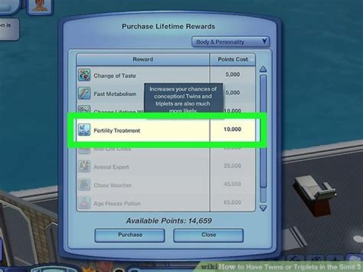 Can you have triplets in Sims 3?