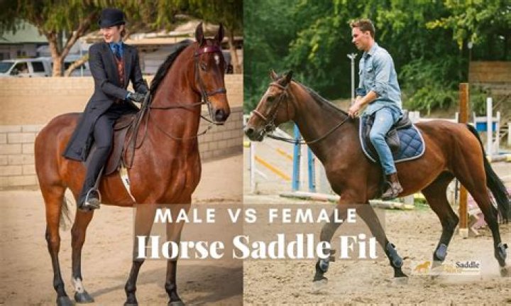 Can you keep a male and female horse together?