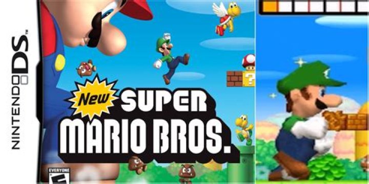 Can you play as Luigi in Super Mario Bros 2 DS?