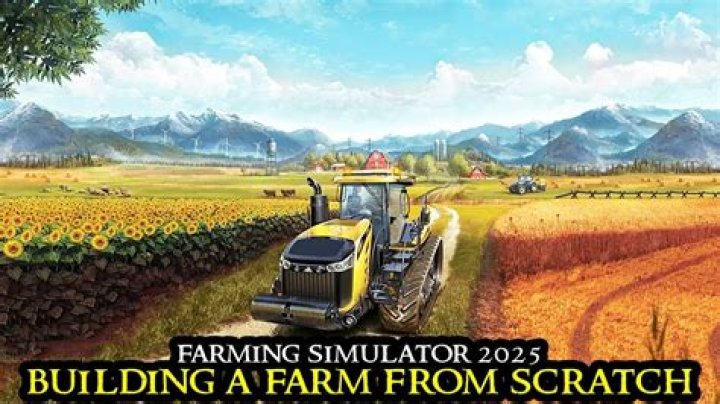 Can you play Farming Simulator online?