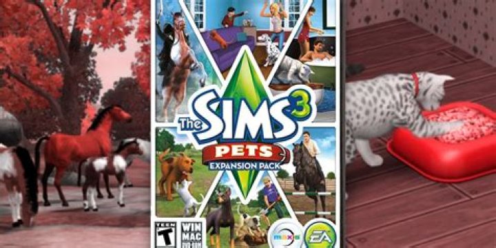 Can you play multiple Sims 3 expansions at once?