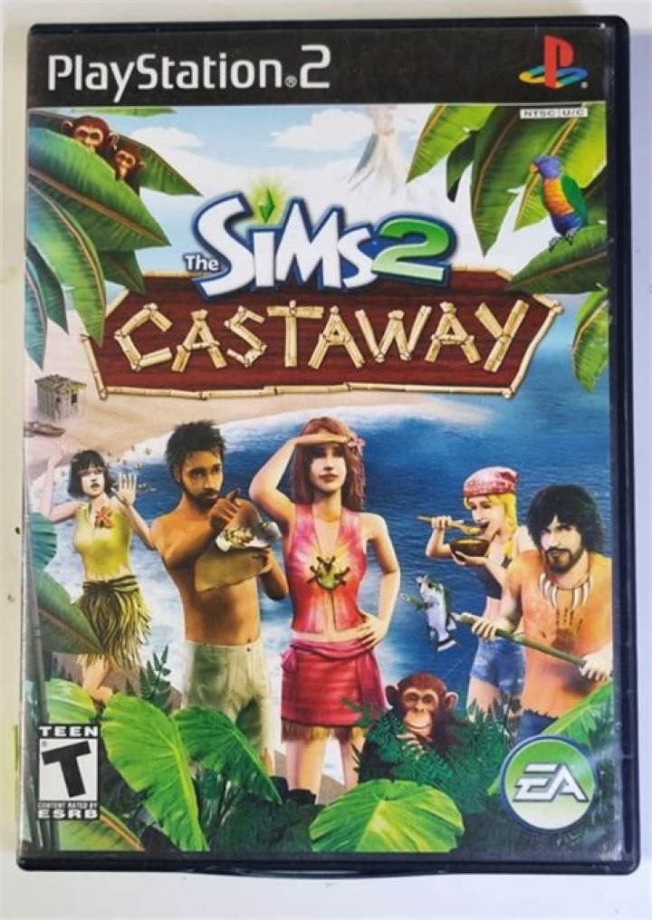 Can you play The Sims 2 Castaway online?
