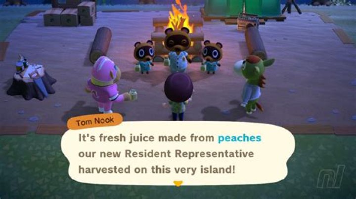 Can you switch Resident Representative Animal Crossing?