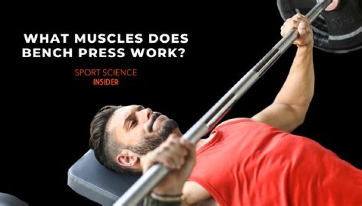 Does bench press increase punching power?