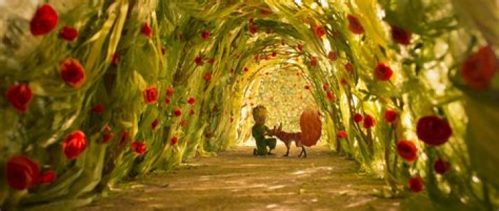Does the little prince meet the rose again?