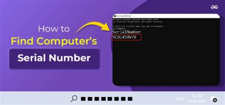 How do I find my SanDisk serial number?