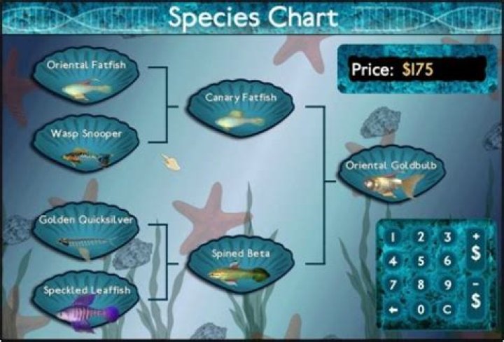 How do I get Oriental Goldbulb?