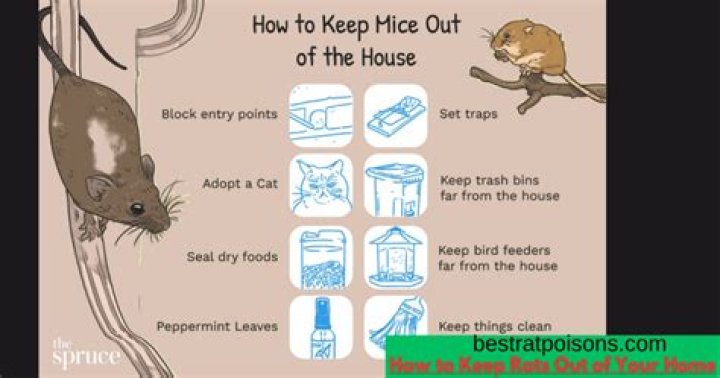 How do I keep rats out of my house naturally?