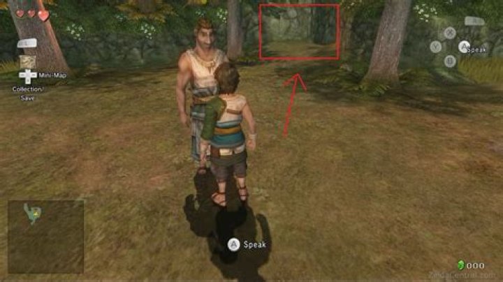 How do I leave Ordon Village?