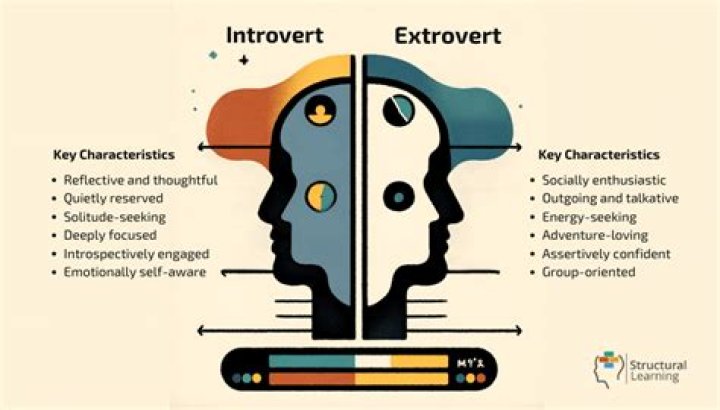 How do introverts view the world?
