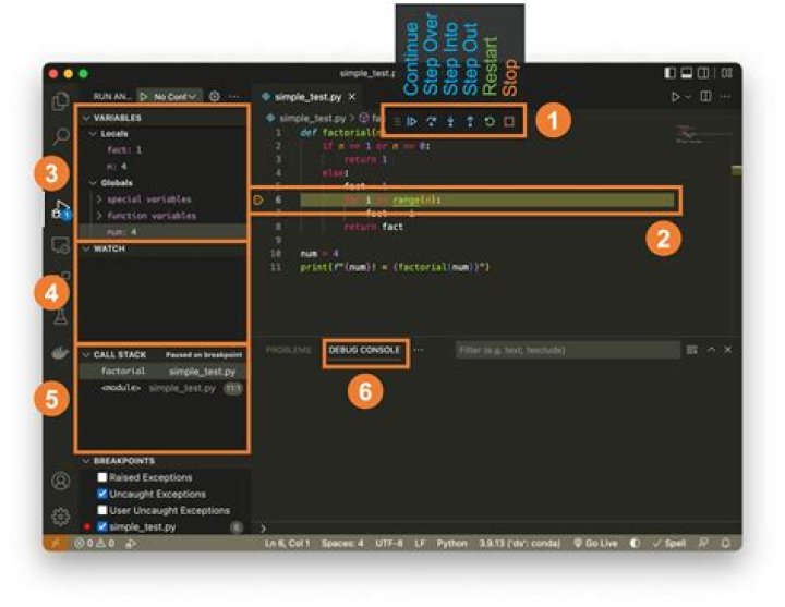 How do you access the debug in Sims?