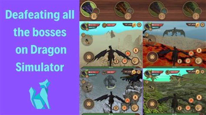 How do you attack on Dragon Sim 3D?