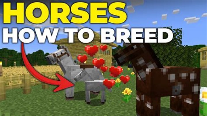 How do you breed jumpy horse?