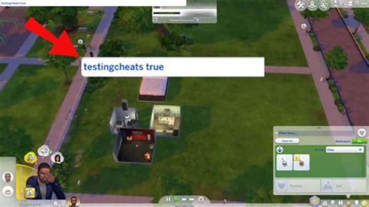 How do you enable testing cheats on Sims 2?