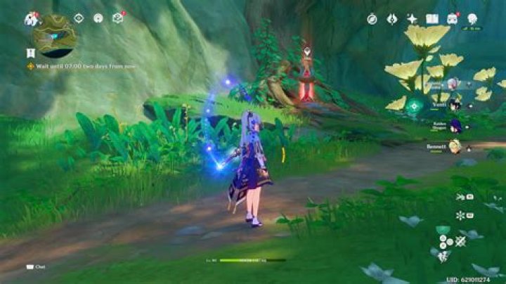 How do you enter cheats on Zoo Tycoon?