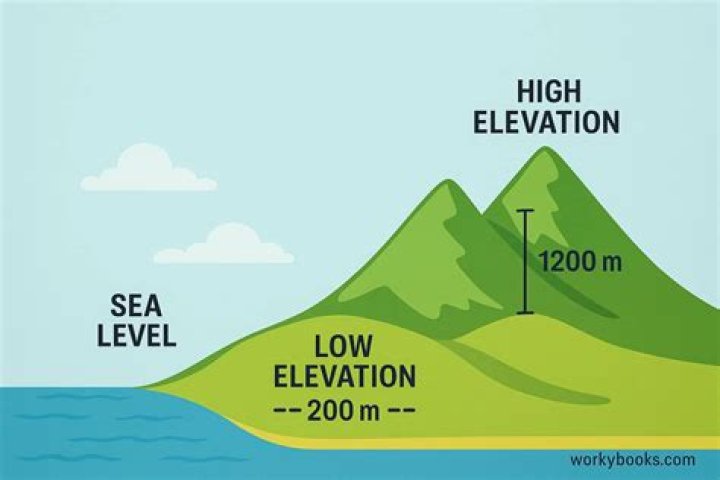 How do you find out how high above sea level you are?