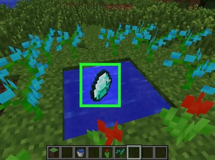 How do you get into the twilight forest?