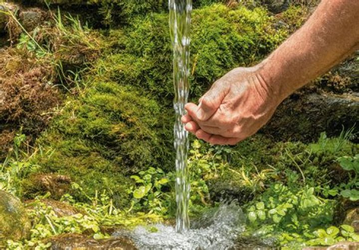 How do you get spring water in Twilight Princess?