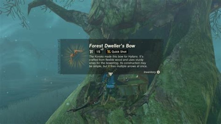 How do you get to Saria in the forest temple?