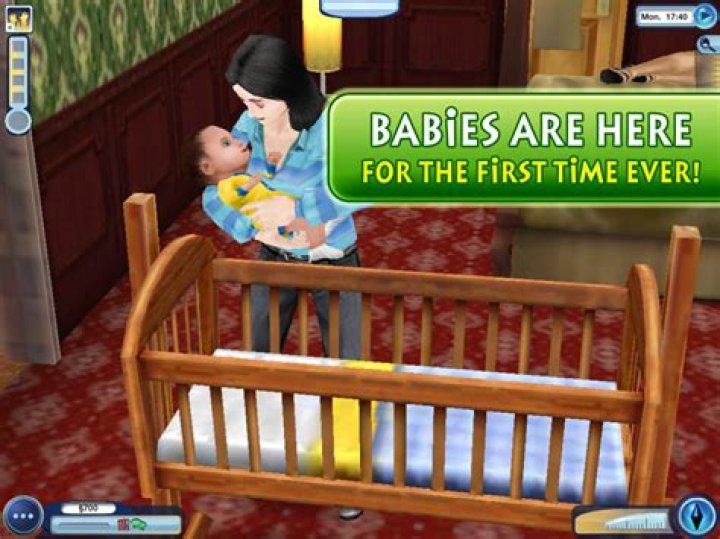 How do you have a baby in the Sims?