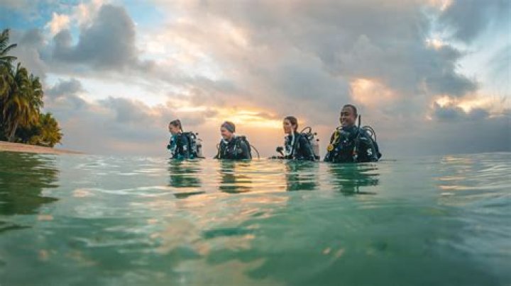 How do you learn to scuba dive in Sims 3?