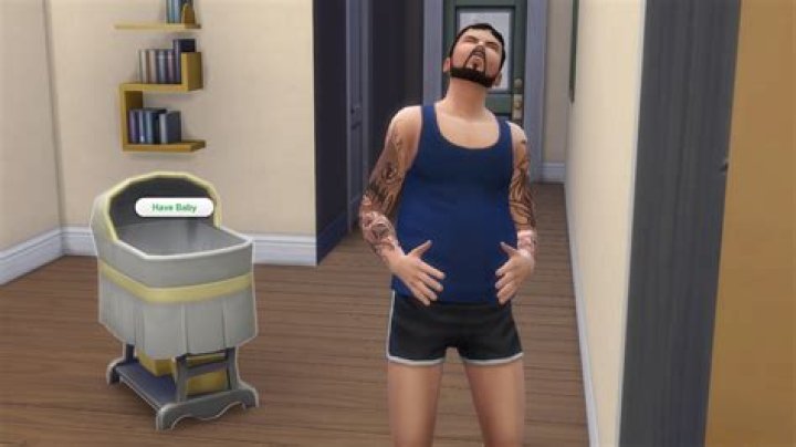 How do you make a male Sim pregnant?