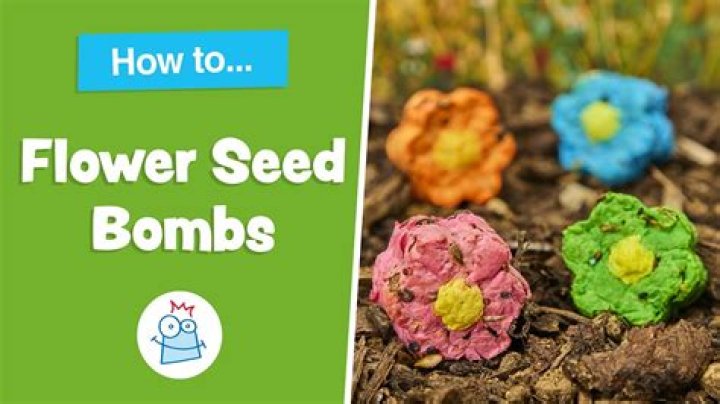 How do you pick up a flower bomb on the wall?