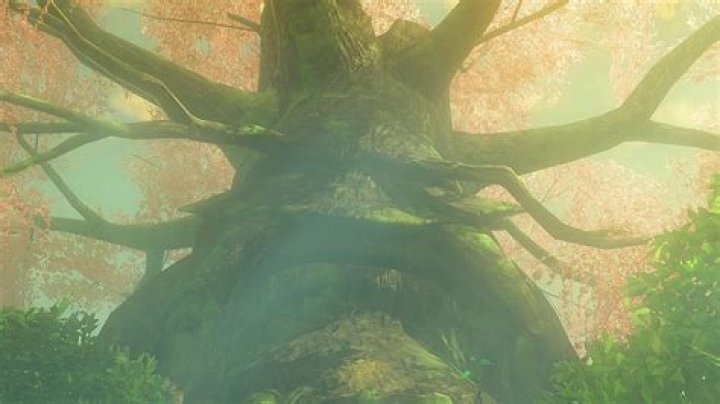 How do you save the Deku Tree in Wind Waker?