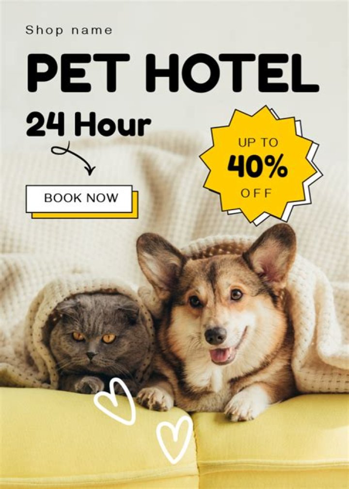 How does my Pet Hotel for cute animals work?