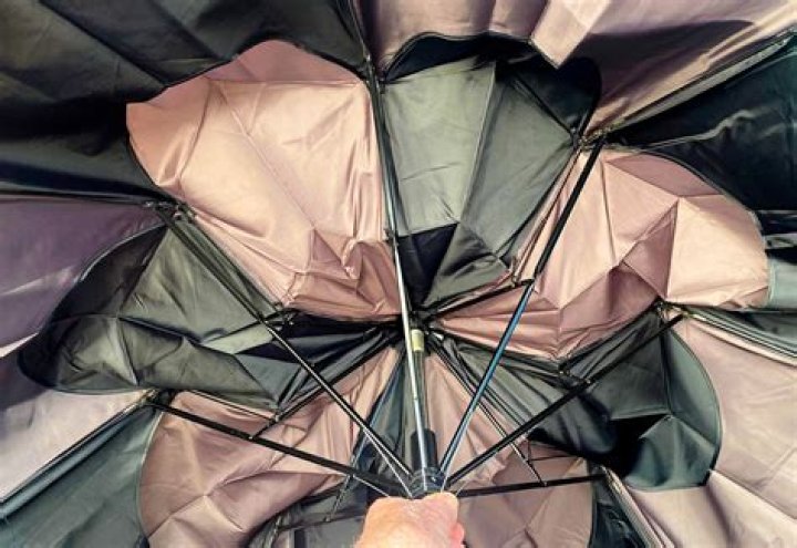 How is Umbrella involved in re8?