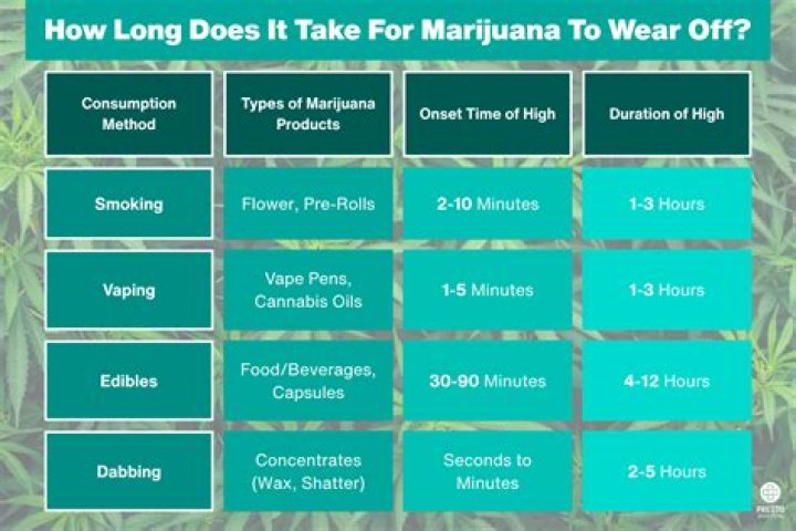 How long does Spirit Tracks take?