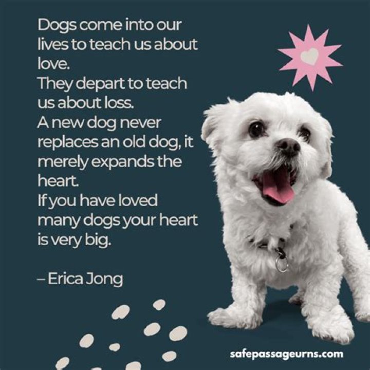 How long will I cry after my dog dies?