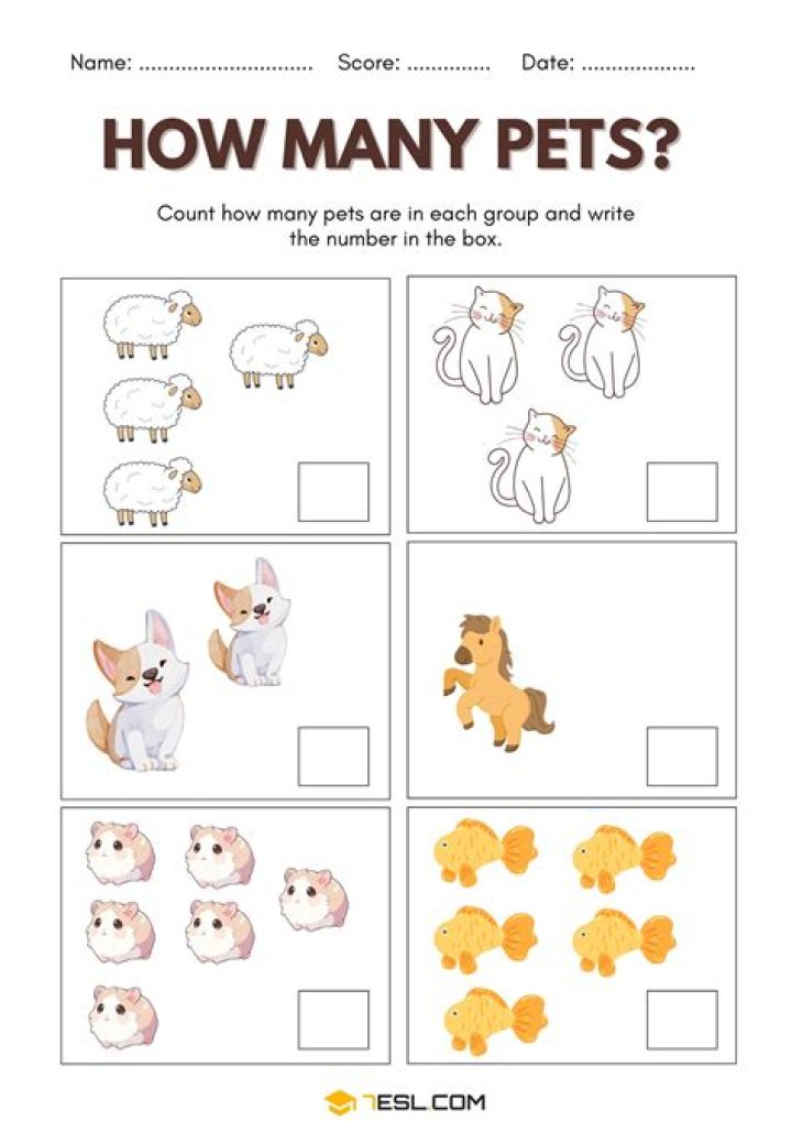 How many pets and Sims can you have?