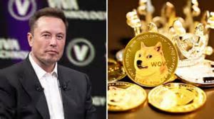How much Dogecoin does Mark Cuban own?
