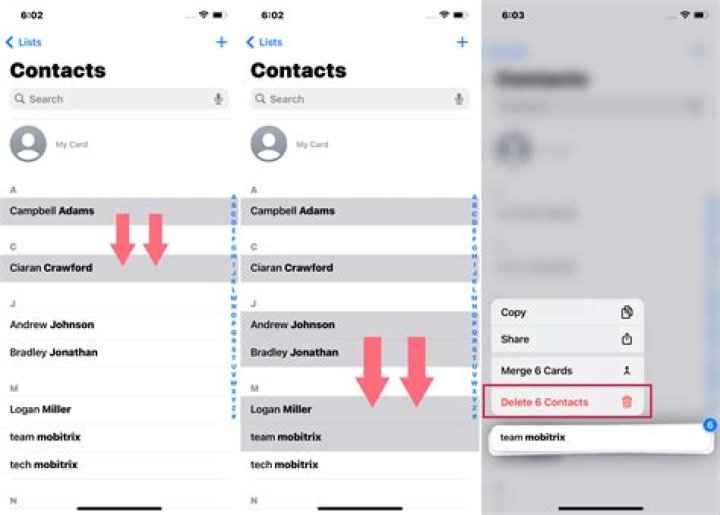 【How-to】Delete contacts from icloud account